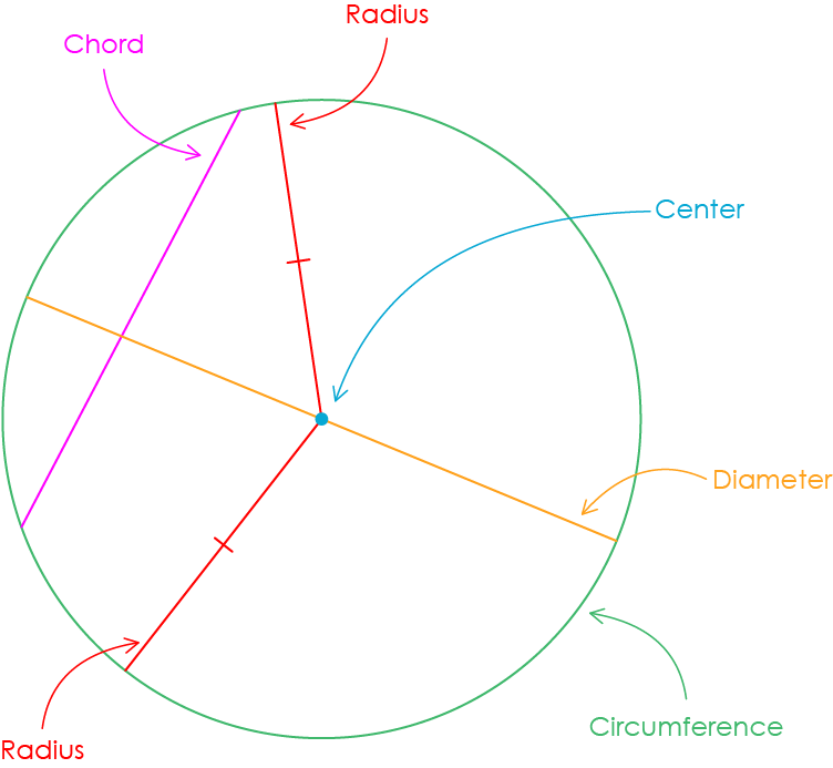 Fully labeled circle with center, radius, diameter, circumference, chord